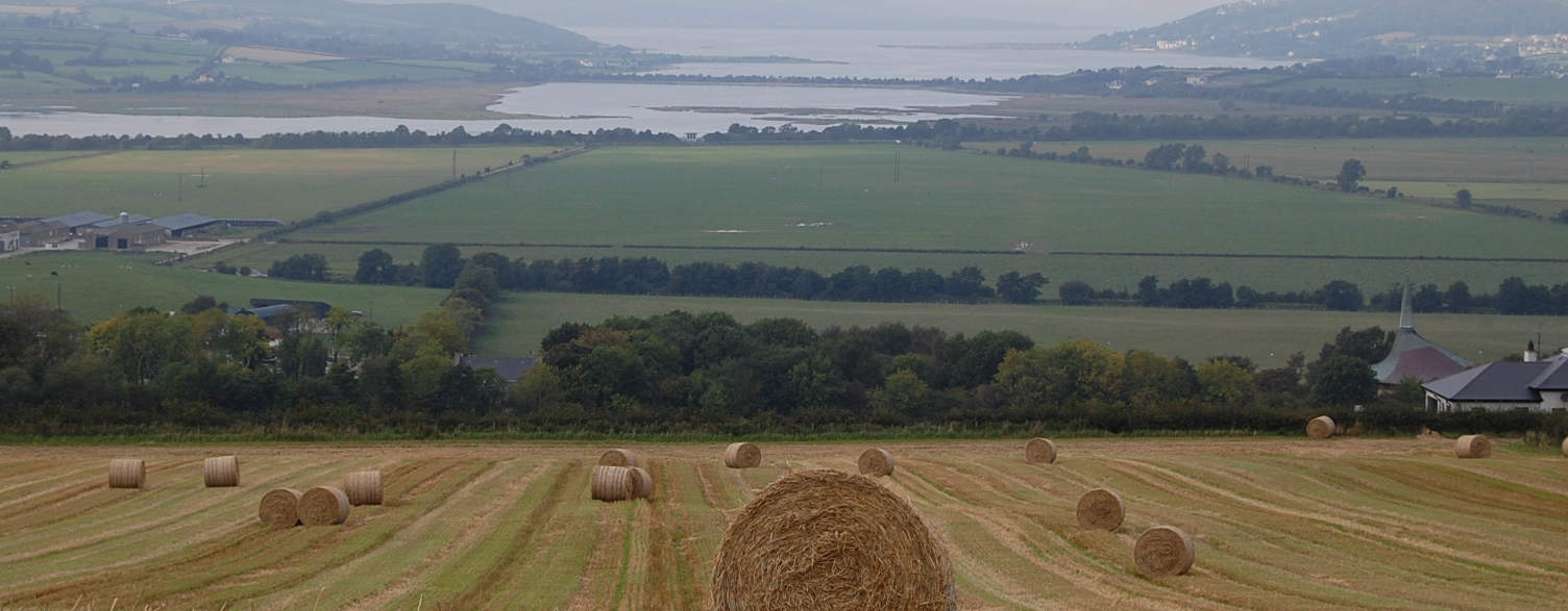 Real Estate and the Emerald Isle Image