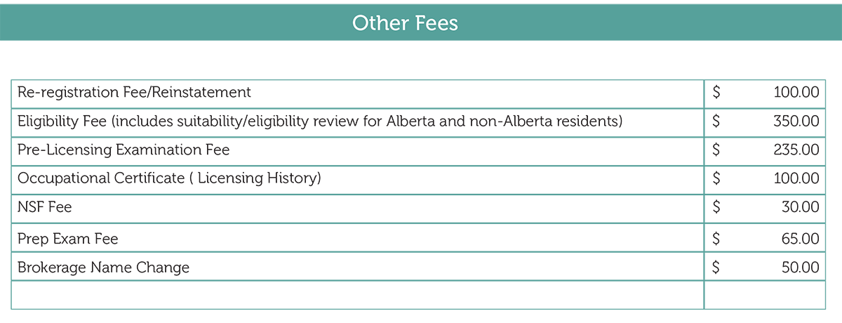 Tables outlining additional and optional fees for obtaining a licence in the 2024-2025 fiscal year.